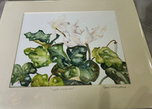 Load image into Gallery viewer, Matted Prints 8X10